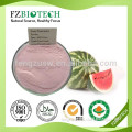 100% Pure Nature Watermelon Seed Powder High Quality Dried Juice Drinking Watermelon Powder